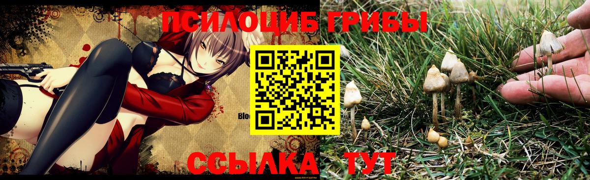 Псилоцибиновые грибы MAGIC MUSHROOMS Иркутск