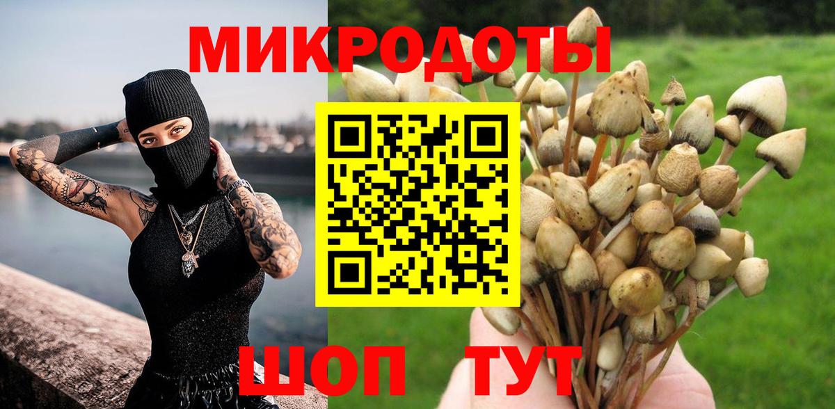 Иркутск  Псилоцибиновые грибы Psilocybine cubensis  даркнет сайт  Вход с VPN  Псилоцибиновые грибы Cubensis 
